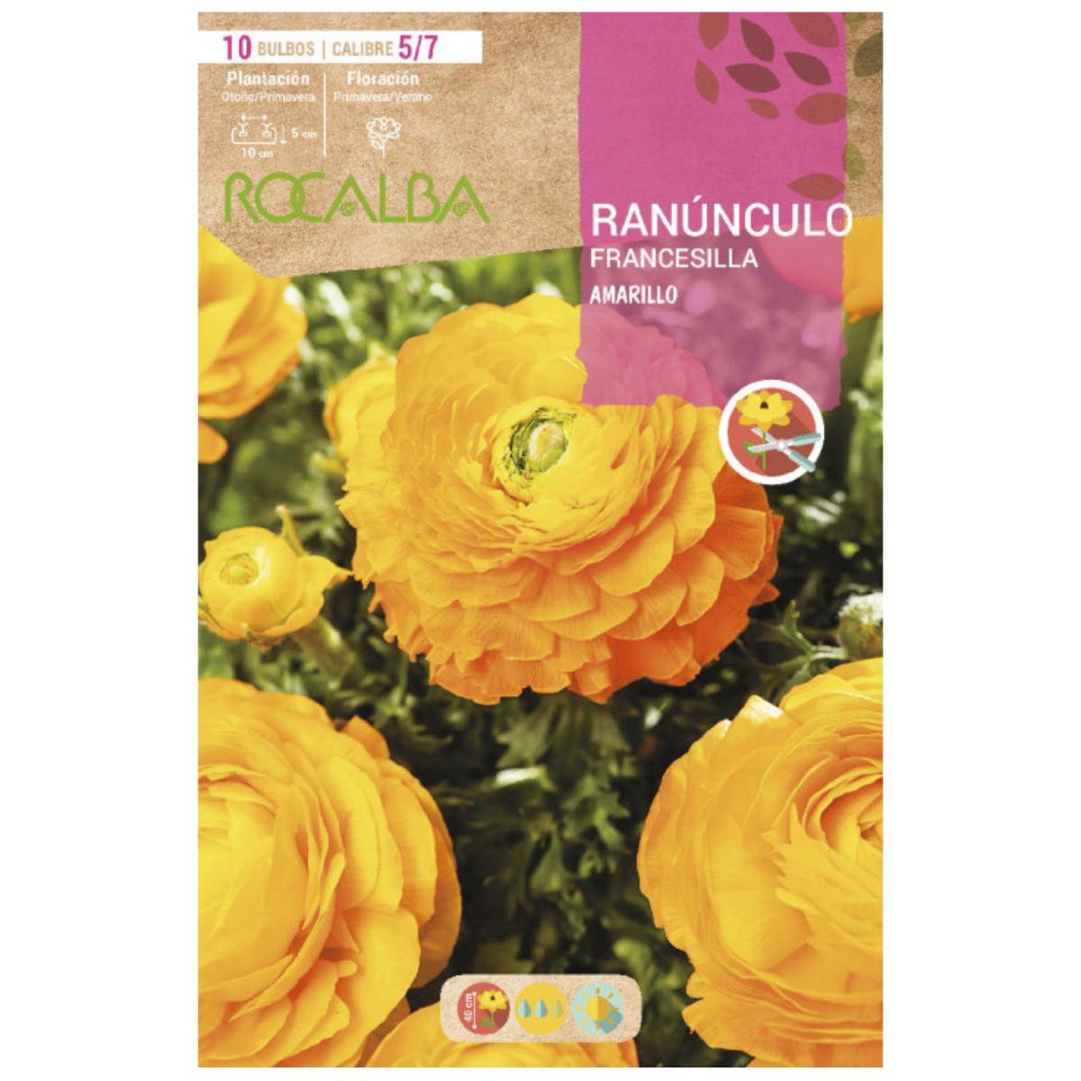 Bulbo Ranúnculo amarillo 10 uds Rocalba