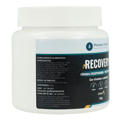 Recovery sabor cítrico Planeta Huerto 250 g
