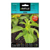 Semillas de  Estevia