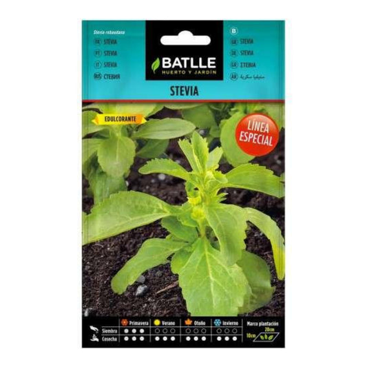 Semillas de  Estevia