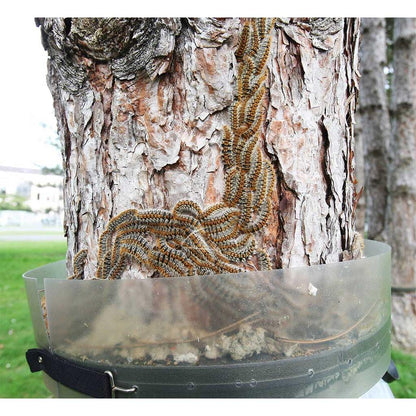 Trampa Collar Anti-orugas Procesionaria del Pino Ecopiege
