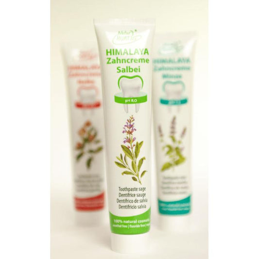 Dentífrico Himalaya Salvia Natur Hurting 75 ml