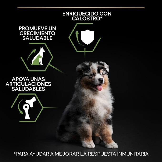 PURINA PRO PLAN Puppy Medium HEALTHY START Pollo