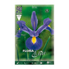 Bulbos Iris Holanda azul Elite 10 uds