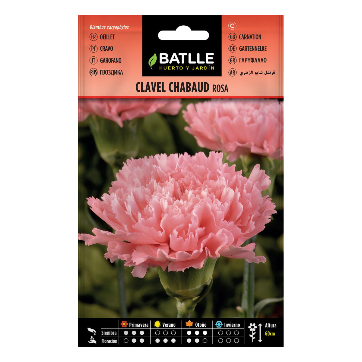 Semillas de Clavel Chabaud rosa