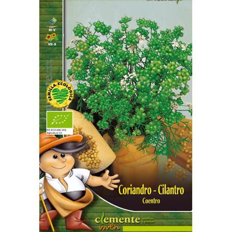 Semillas ecológicas de Coriando-Cilandro