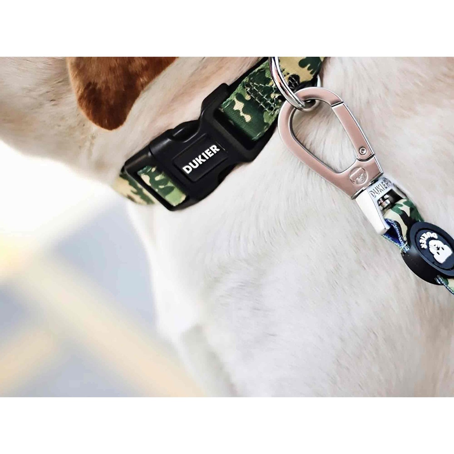 Collar para perro CAMO Dukier