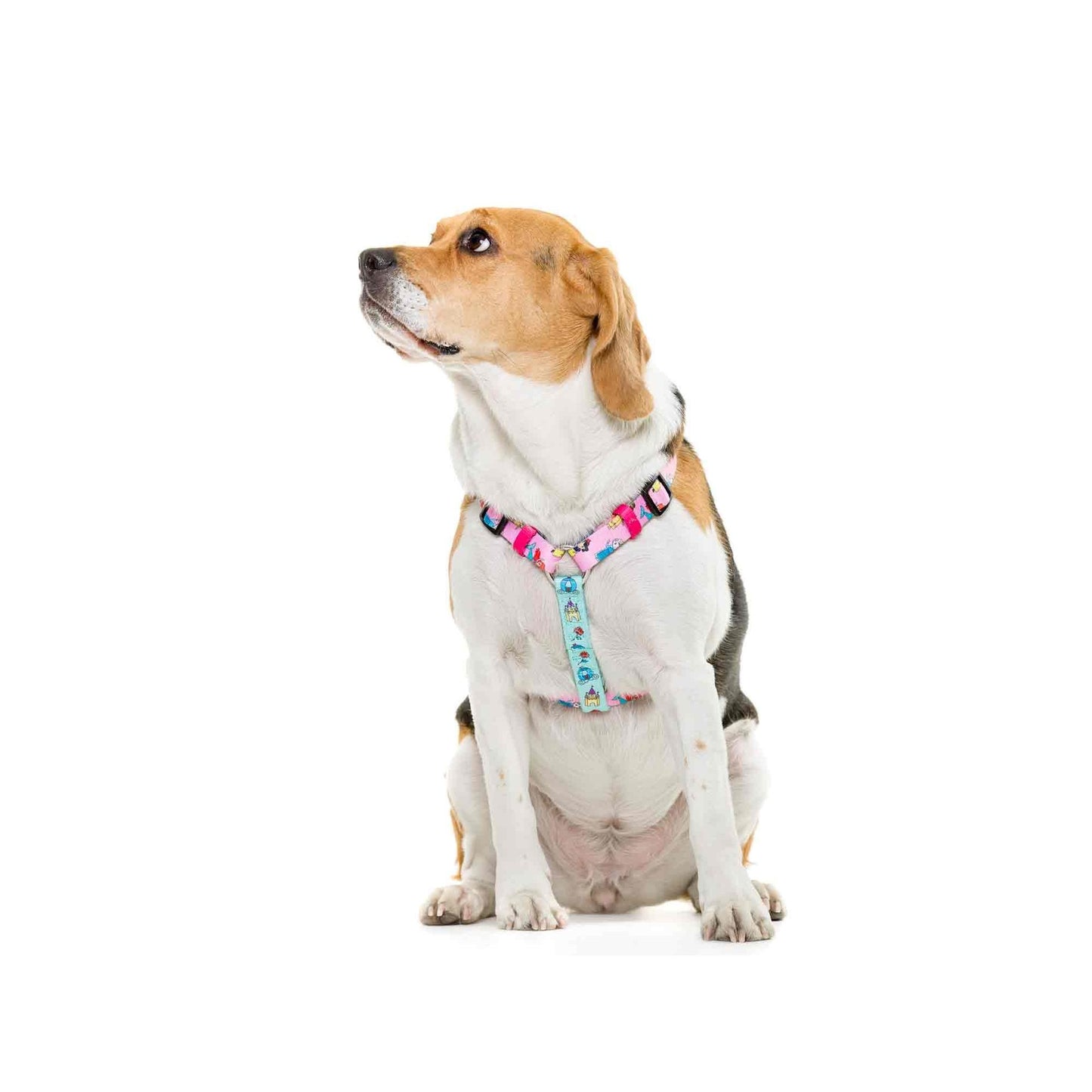 Arnés clásico para perro PRINCESS Dukier Talla L