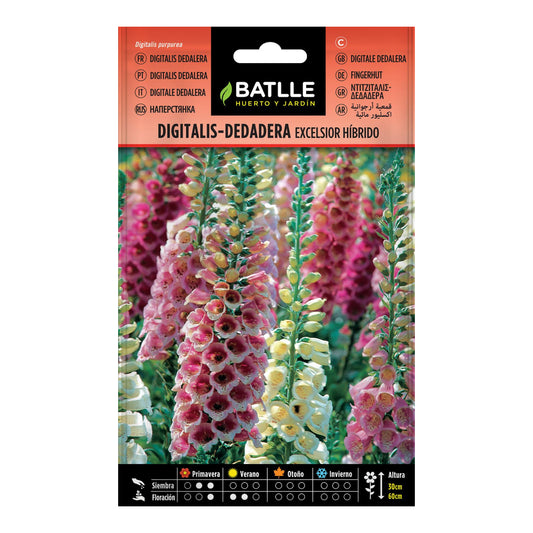 Semillas de  Digitalis-dedalera Excelsior híbrido