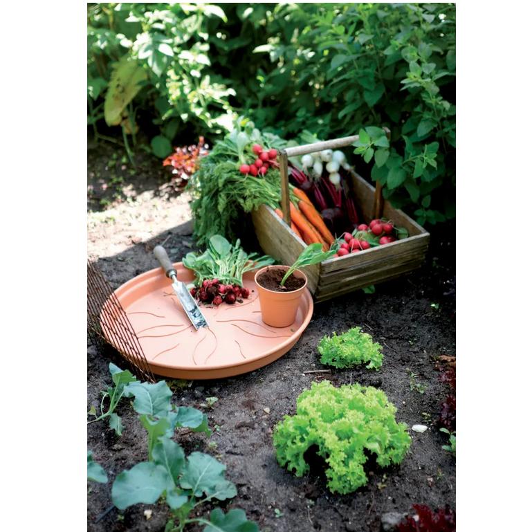 Plato tiesto Green Basics Elho Terra 25 cm