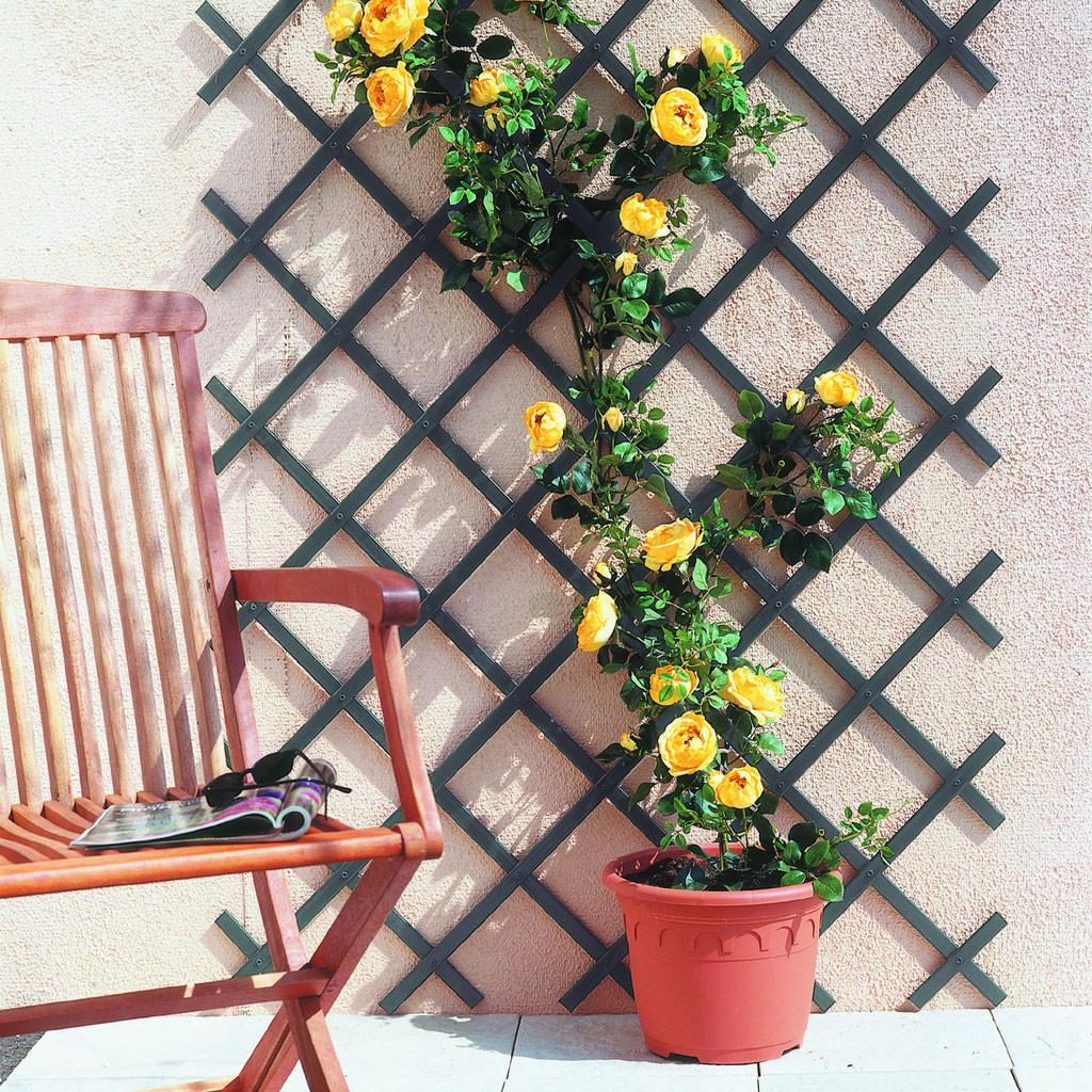 Celosia PVC Extensible 1x2 m verde Trelliflex Nortene