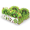 Huerto Premium Baby Leaves