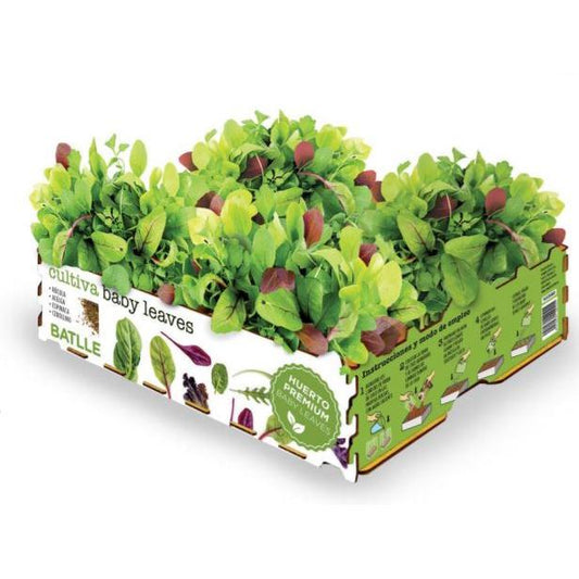 Huerto Premium Baby Leaves