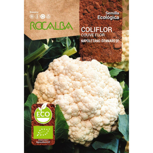 Semillas ecológicas de coliflor napoletano gennarese Rocalba