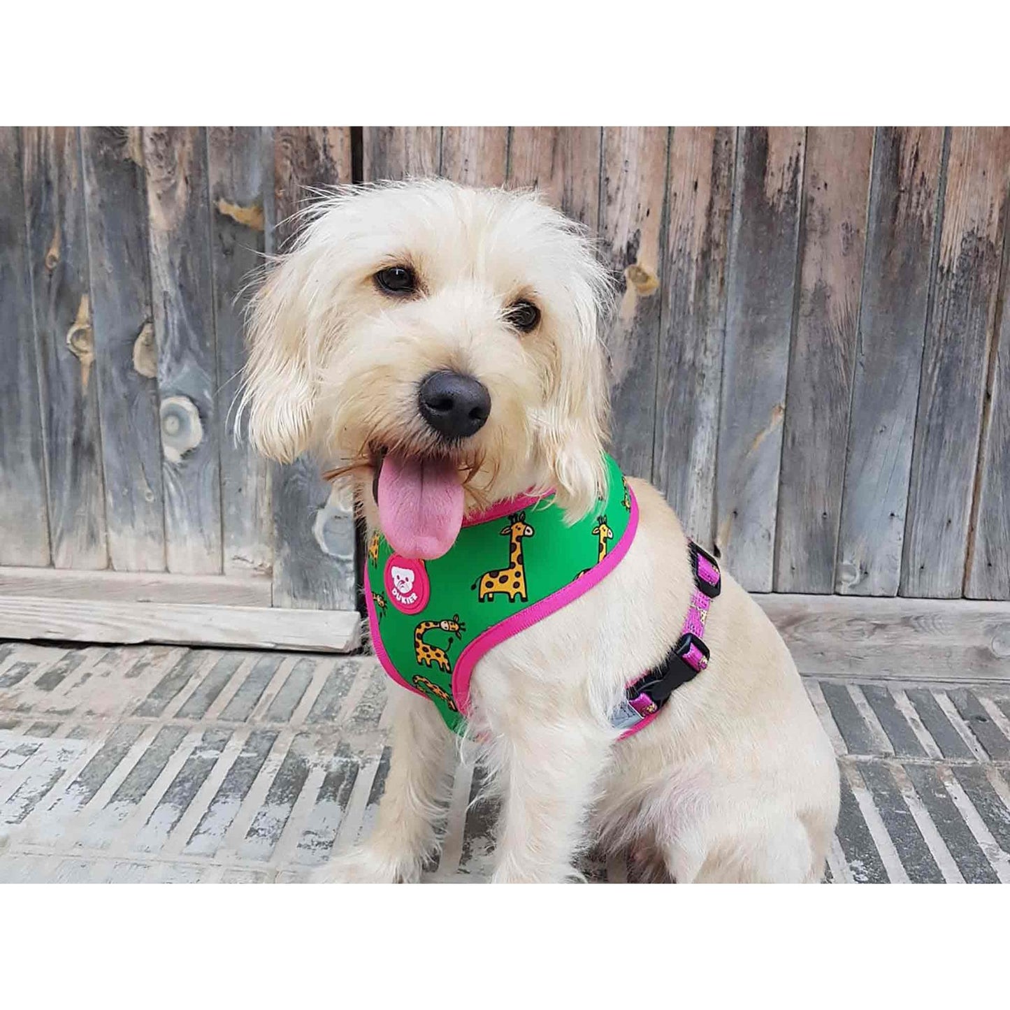 Arnés reversible para perro SAVANA Dukier