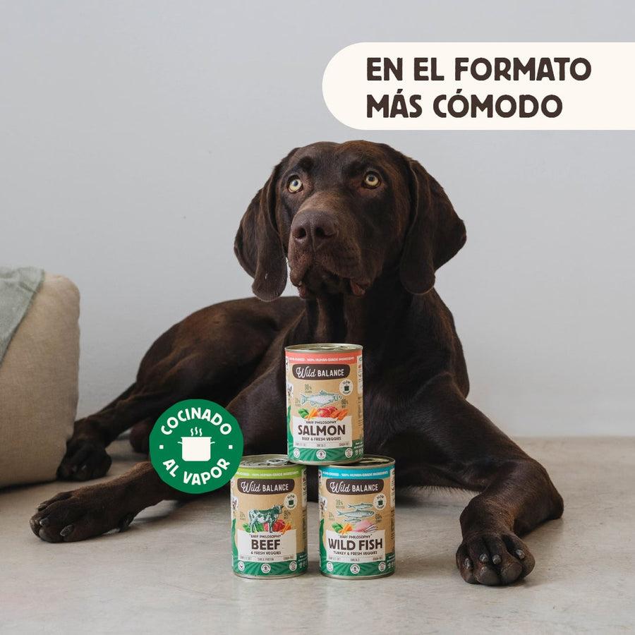 Pack 6x Salmón y Ternera barf para perros 400 g + Regalo: Tapa reutilizable para latas, Wild Balance