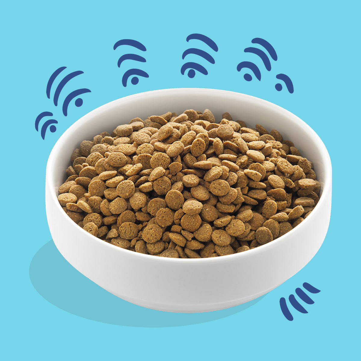 Pienso para perros Salmón Noruego Edgard & Cooper 1 Kg