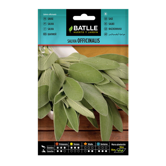 Semillas de  Salvia officinalis Batlle