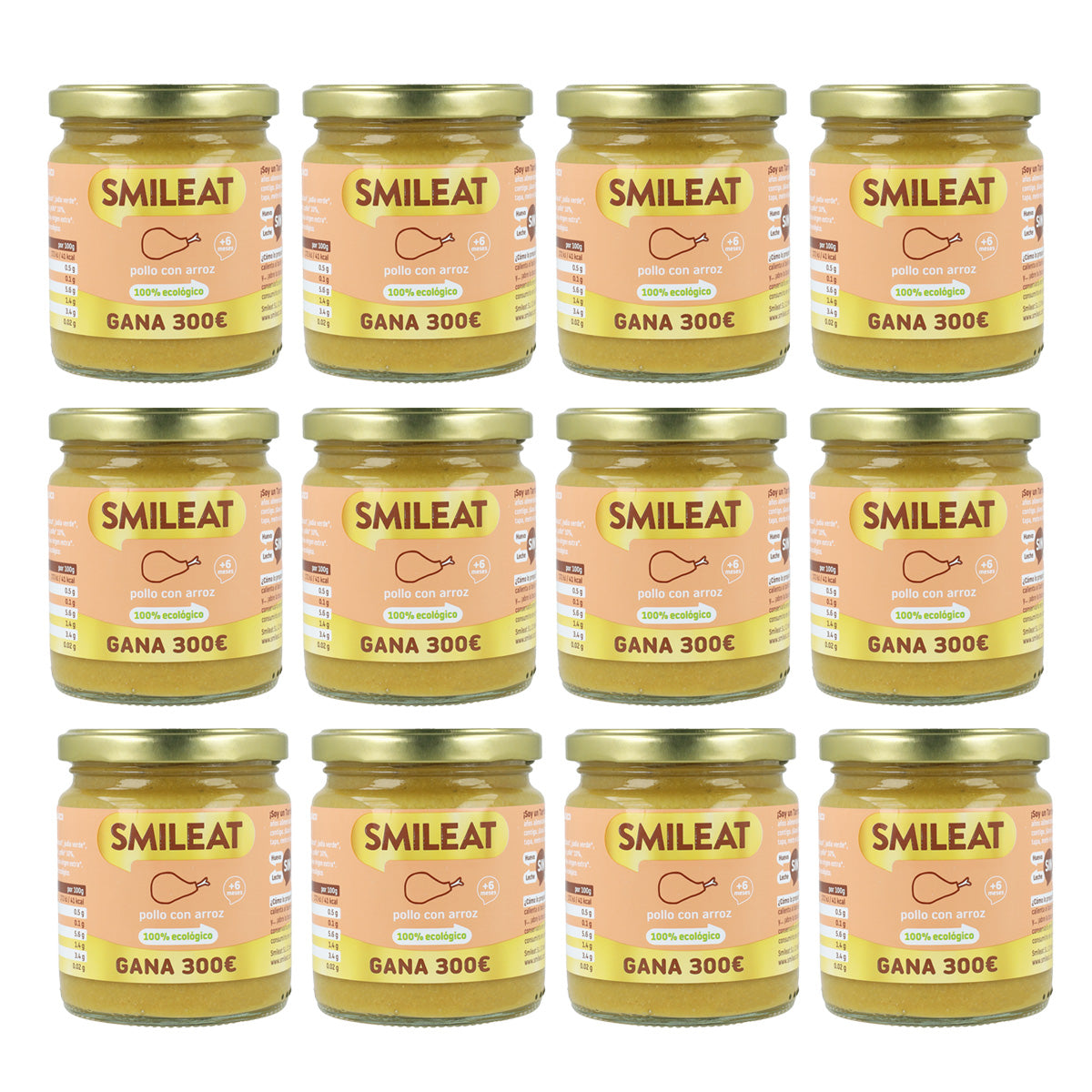 Pack 12x Tarrito BIO pollo con arroz +6 meses Smileat, 230g