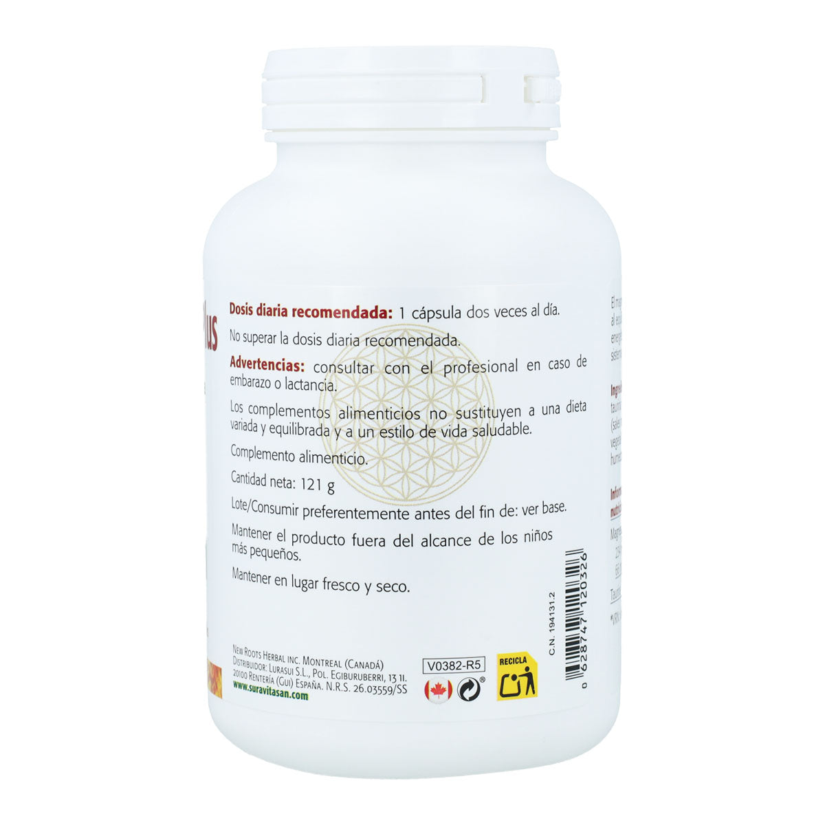 628747120326_Magnesio Bisglicinato Plus 2.jpeg