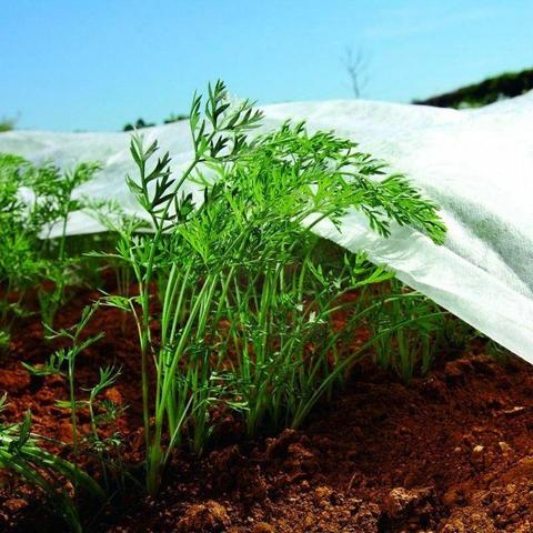 Tela protección de cultivos antiheladas Biotop 1.5 x 5 m