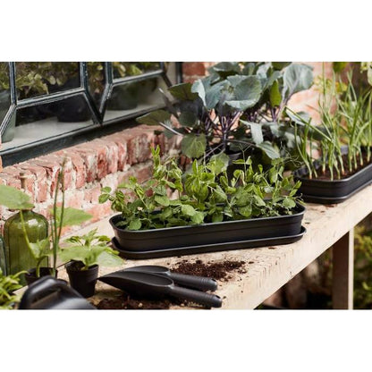 Bandeja de cultivo Green basics Elho Antracita L