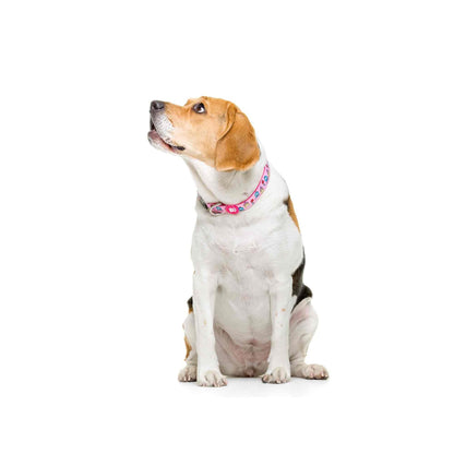 Collar para perro PRINCESS Dukier