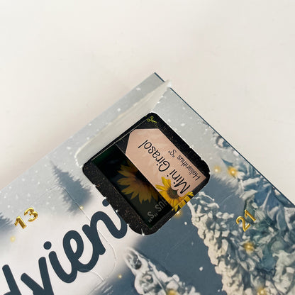 Calendario de Adviento de semillas con mini invernadero Planeta Huerto