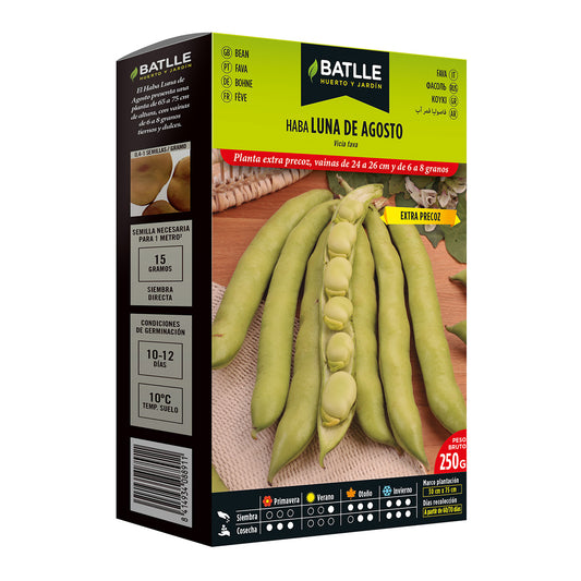 Semillas de  Haba extra precoz Luna de agosto 250 g