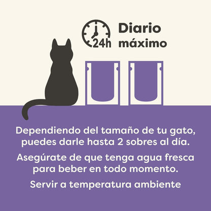 Applaws Cat Sobre Selección de Pescado Multipack 12 x 70 g Comida húmeda para gatos