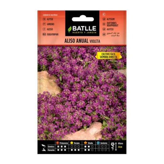 Semillas de  Aliso anual violeta