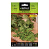 Semillas de  Perejil Común de hoja lisa 2