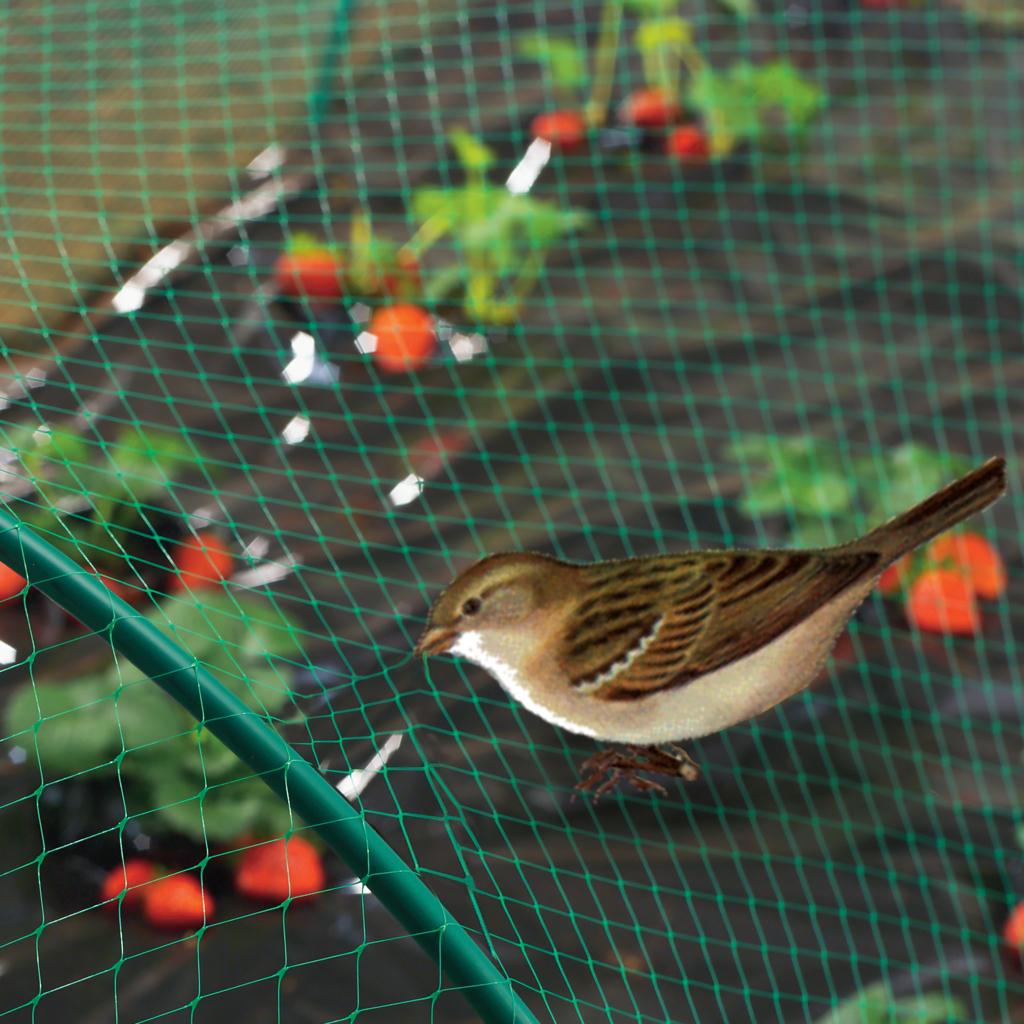 Malla anti pájaros 4 x 12 m Birdnet Nortene