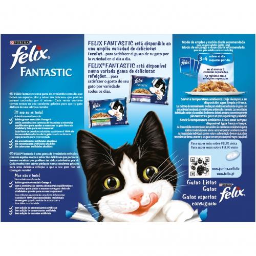 FELIX Fantastic Festín de Sabores en Gelatina 12x85g