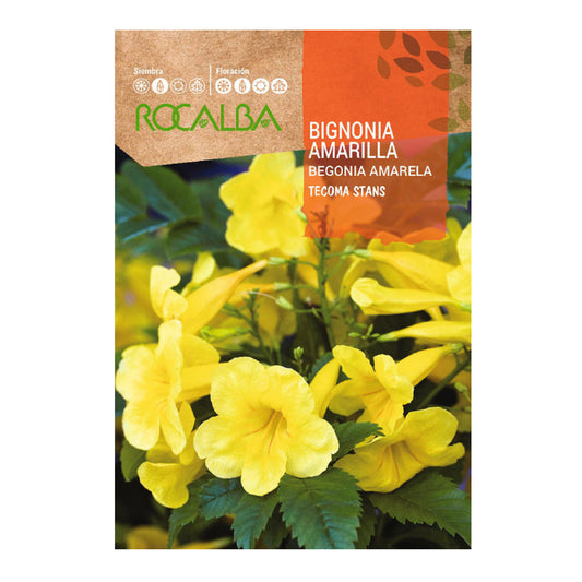 Semillas de Bignonia amarilla, Rocalba