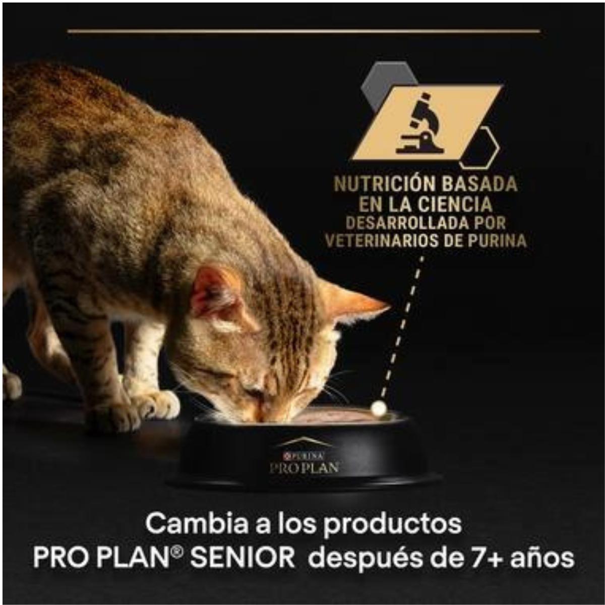 PURINA PRO PLAN Gato  Adulto Delicate Digestion con pavo y pescado en salsa Sobre 10x85g