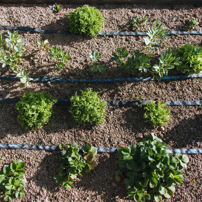 Tubería de Riego por Exudación en Rollo Garden Planeta Huerto 50 m