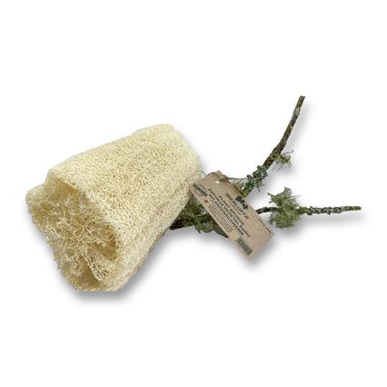 Esponja Vegetal Pequeña Granel Iberica Esponjas 12-13cm