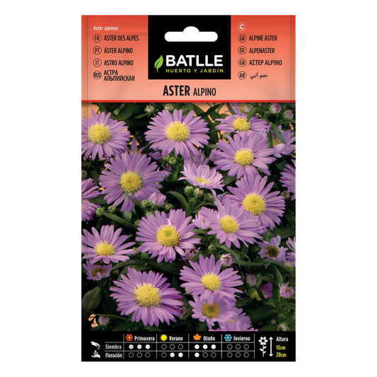 Semillas de Aster Alpino