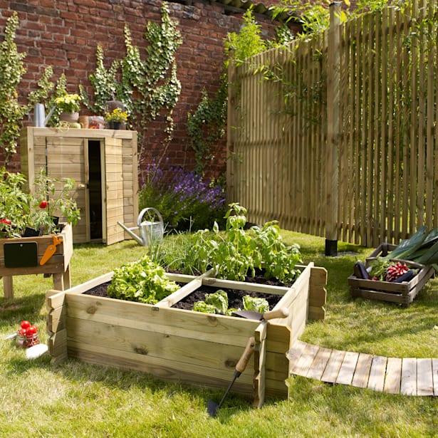 Huerto Cuadrado Basil 100