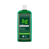 Champú antigrasa Melisa 250 ml