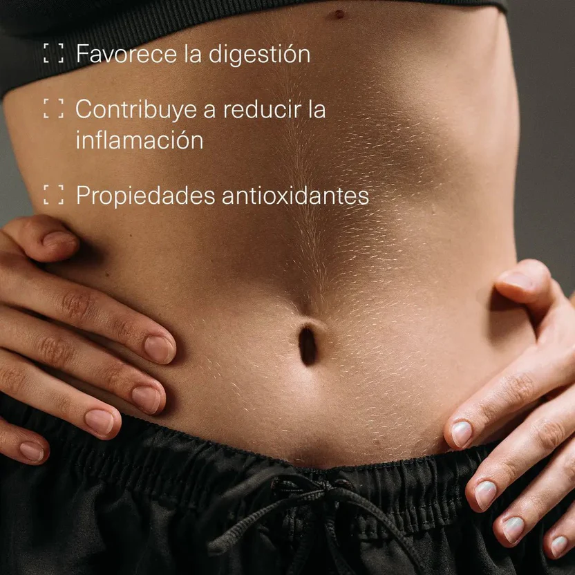 Cúrcuma con Jengibre y Pimienta Negra + Probioticos Aldous Bio 120 Gominolas