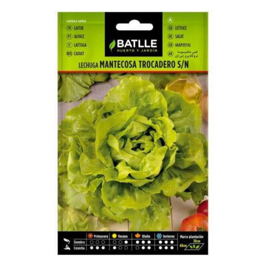 Semillas de  Lechuga Trocadero