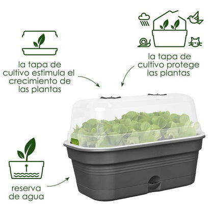 Jardinera de cultivo ALLIN1 Green Basics Elho 32 cm