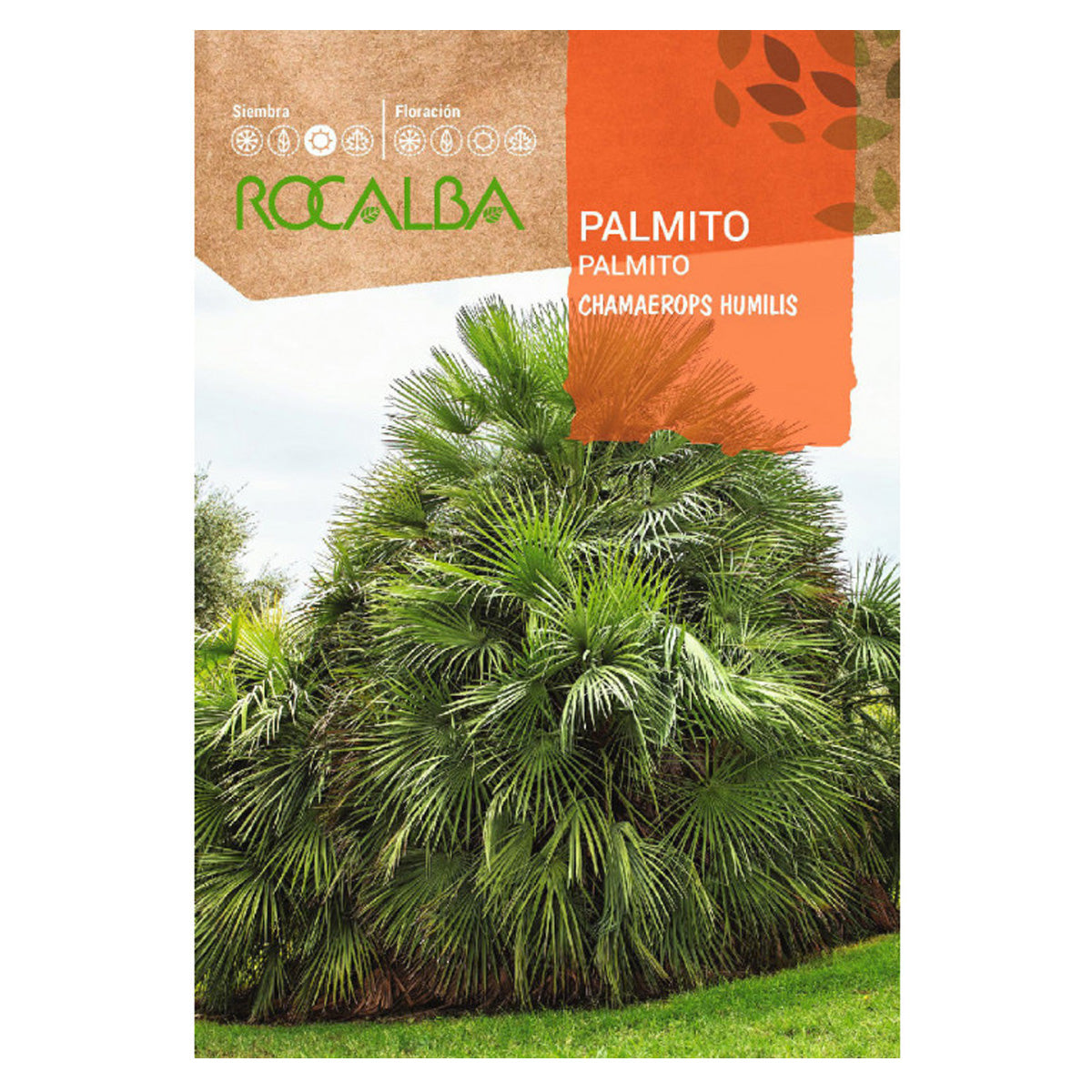 Semillas de Palmito, Rocalba