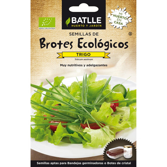 Semillas brotes eco Trigo Batlle