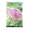 Bulbos Ranúnculo rosa Elite 10 uds