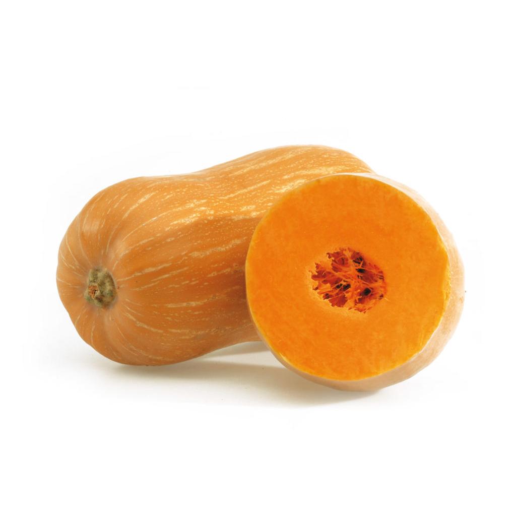 Plantón de Calabaza Cacahuete 6 uds. Gama Tradicional