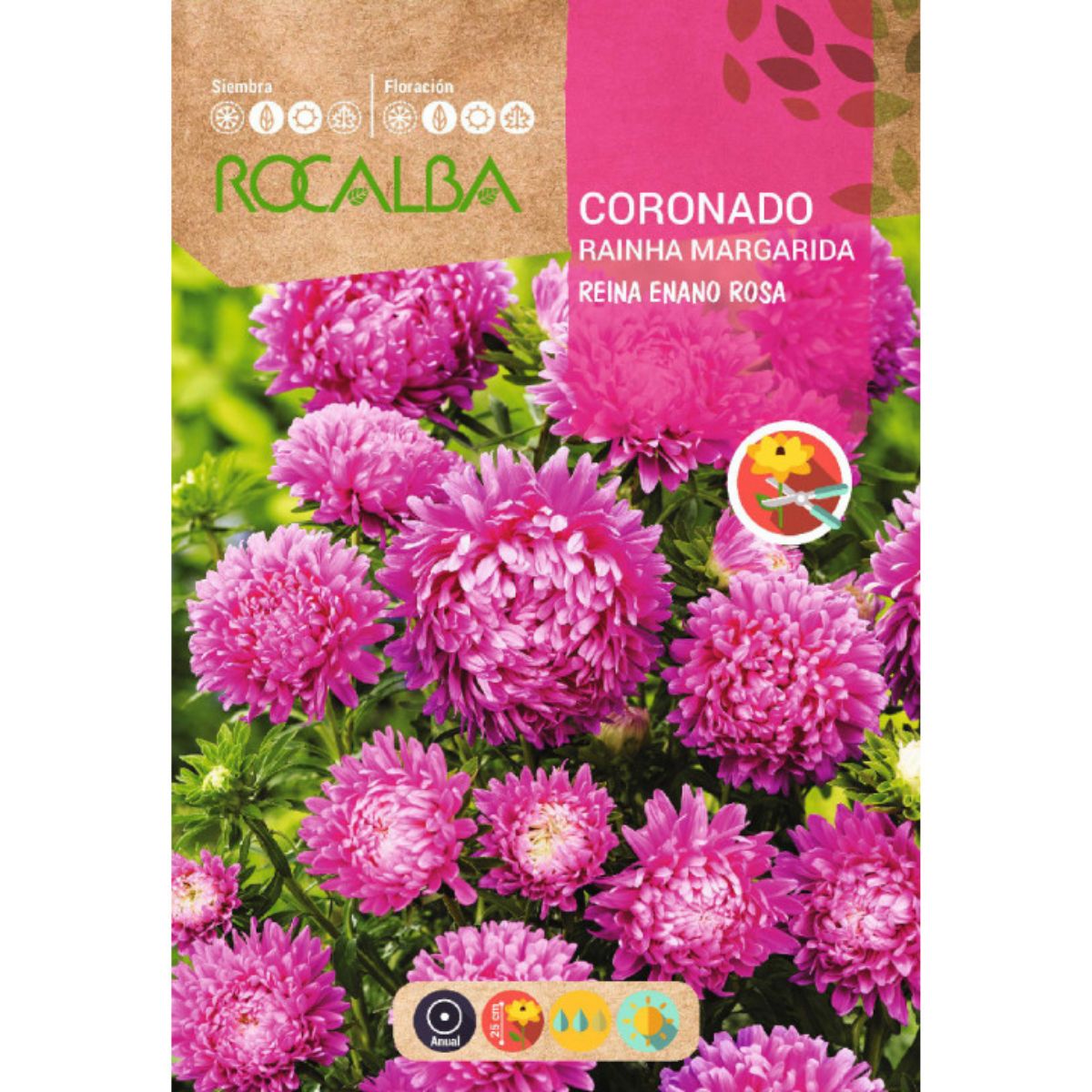 Semillas de Coronado reina enano, rosa