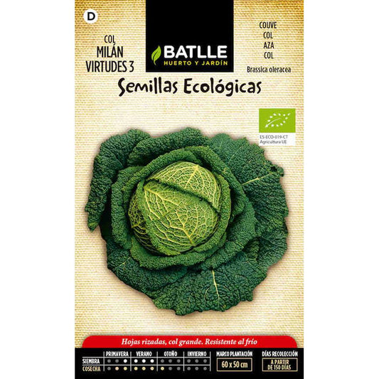 Semillas ecológicas de Col milán virtudes 3 Batlle
